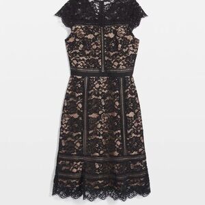 NWT Black Lace Sheath Dress with Nude Lining